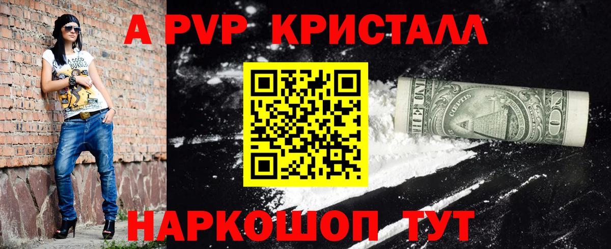 A PVP СК КРИС Вольск