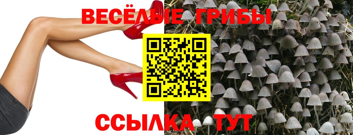 Галлюциногенные грибы Magic Shrooms Вольск