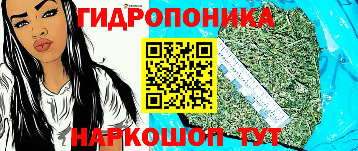 Марихуана планчик Вольск